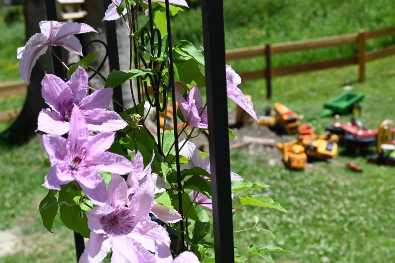 Pension Mitterwallner Schladming Εξωτερικό φωτογραφία