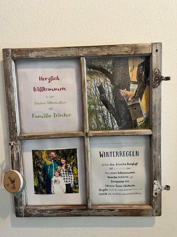 Pension Mitterwallner Schladming Εξωτερικό φωτογραφία